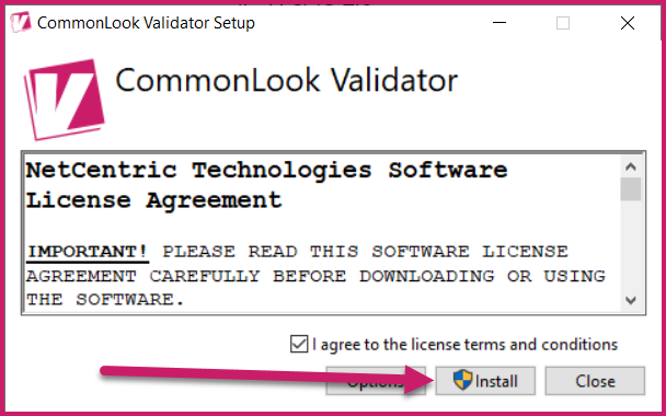 The Install button is highlighted in the CommonLook Validator Setup dialog.