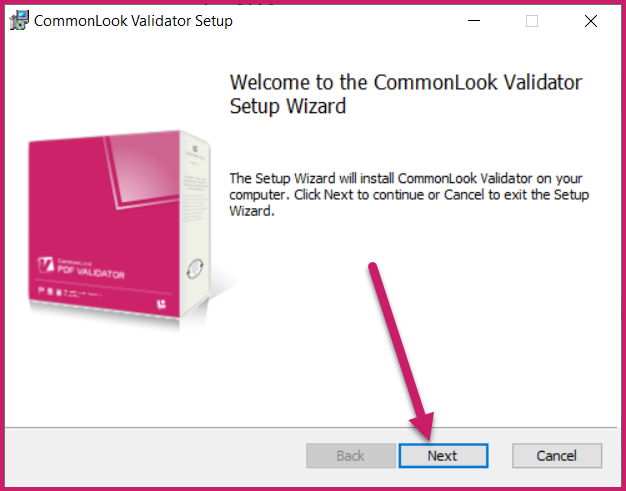 The Next button is highlighted in the CommonLook Validator Setup Wizard dialog.