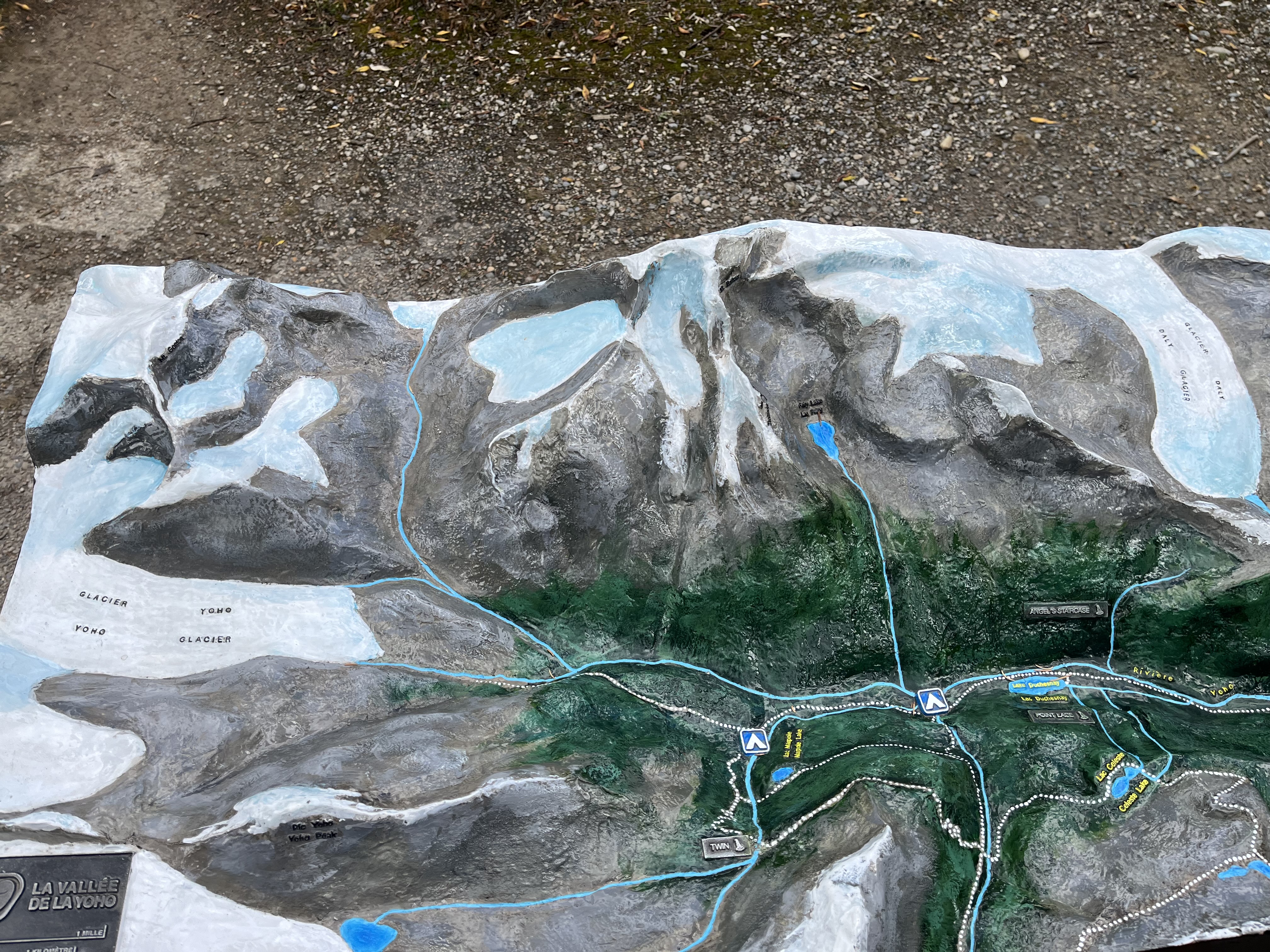 A raised relief model of Takakkaw Falls and the surrounding mountainous region, with detailed topographical features. Snow-covered peaks and glaciers are depicted in white and blue, while green areas represent lower elevations with vegetation. Blue lines indicate rivers or streams, and small labels mark specific areas or paths. Trails and routes are outlined, possibly for hiking or exploration. 
